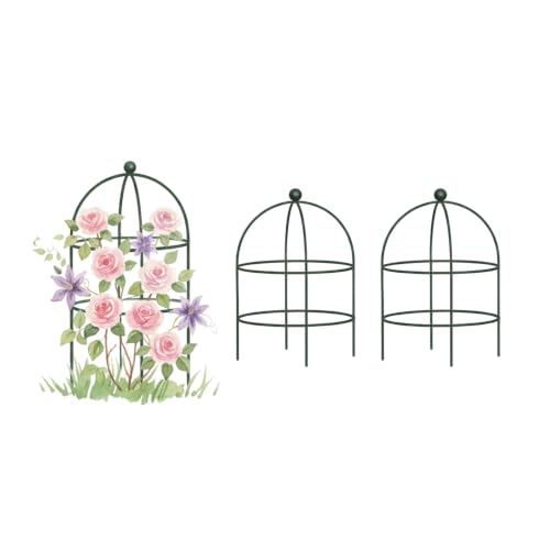 Birdcage Trellis 2 Pack, 18" W Decorative Plant Support for Climbing Flowers and Vines, Metal Peony Support Trellis for Pots, Planters & Small Gardens - size: Medium