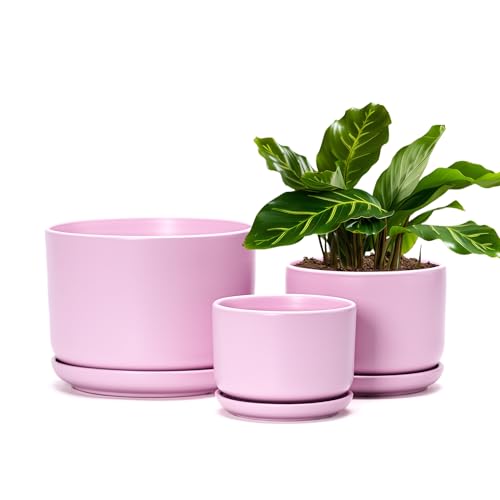 Plant Pots,Ceramic Planters with Drainage Holes&Saucer Set of 3(Matte Pink) - color: Matte Pink