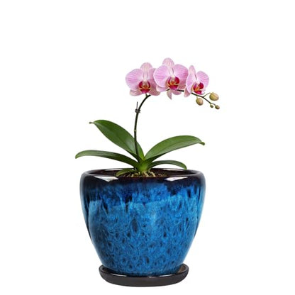 Ceramic Plant Pots With Saucer & Drainage Hole, 6 inch Indoor Flower Pots - color: Blue, size: 6 inch