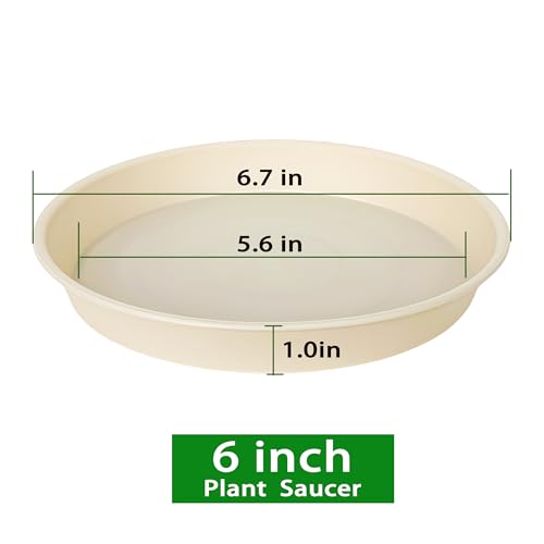 6 Pack of 6 inch Plant Saucer Drainage Tray, 4 5 7 8 10 12 13 15 17 19 inch Plastic Plant Water Tray, Flower Saucers for Indoors, Plant Dishes for Pots Base (6 inch, Beige) - color: Beige, size: 6"