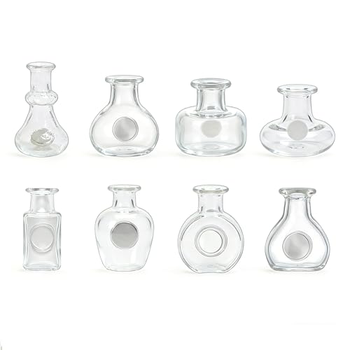 Mini Hydroponic Vase Fridge Magnets Set - Clear Glass Propagation Station for Real Flowers - Cute Kitchen & Locker Decor. (Transparent) - color: Transparent