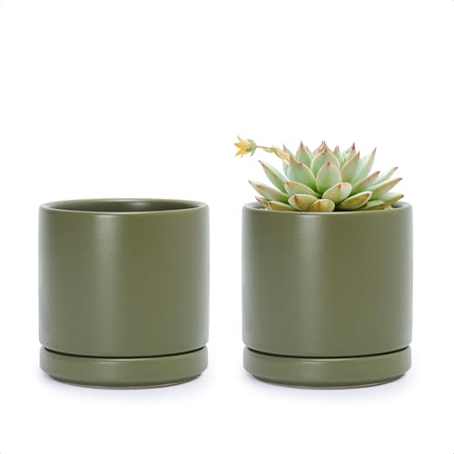 D'vine Dev 2-Pack Ceramic Pots with Saucers, Olive, 3.5 in, 94-V-A-J - color: Olive, size: 3.5 Inch