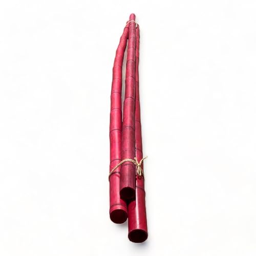 Pack of 3 Bamboo Sticks - 6 Feet Long Natural Thick Bamboo Poles - 1.5 in Diameter - Garden Stakes (Red) - color: Red