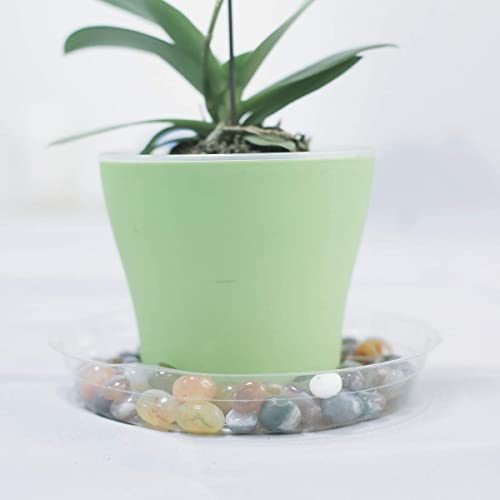 TRUEDAYS 20 Pack 6 Inch Plant Saucers Clear Plant Saucers Flower Pot Plastic Drip Trays Excellent for Indoor & Outdoor Plants - size: 20-Pack (6'' Only)