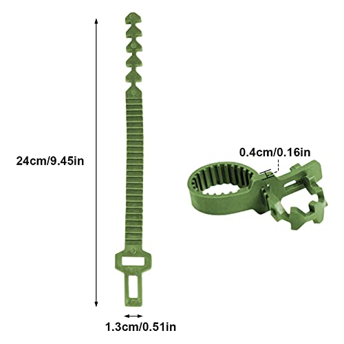 GEZICHTA 10 PCS Tree Stake Support Bands, Heavy Duty Adjustable Interlock Tree Plant Ties, Reusable Garden Plants Shrub Ties 9.4 inch(Green), free size