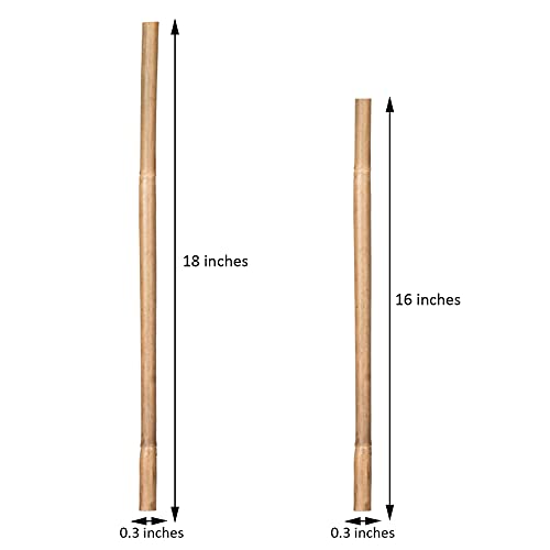 GAGINANG Natural Bamboo Garden Stakes, 20pcs Plant Sticks 18 inches - size: 18 inches