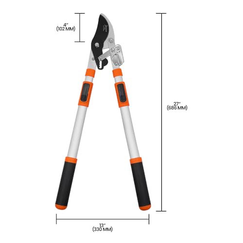 Zenport LRT10 Telescopic Ratchet Bypass Lopper, 23.5-Inch to 35.8-Inch - style: Bypass