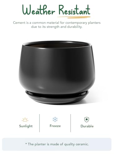 LE TAUCI Ceramic Planter, 12 Inch, Large Plant Pot, Indoor Plant Pot, Black - color: Black, size: 12"