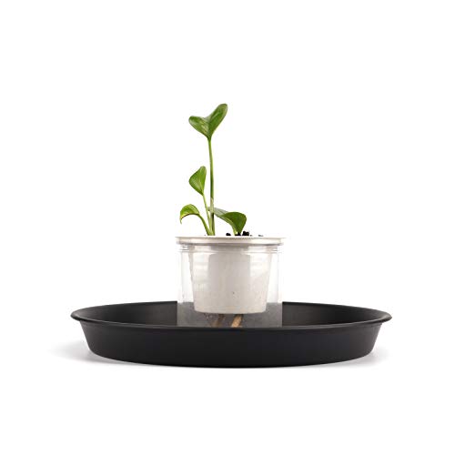 KEILEOHO 15 Pack 12 Inch Plant Saucer, Heavy Duty Round Plastic Plant Saucer with Plant Labels, Flower Plant Pot Tray, Planter Water Catcher Trays for Indoor Outdoor Use, Black