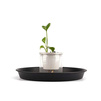 KEILEOHO 15 Pack 12 Inch Plant Saucer, Heavy Duty Round Plastic Plant Saucer with Plant Labels, Flower Plant Pot Tray, Planter Water Catcher Trays for Indoor Outdoor Use, Black