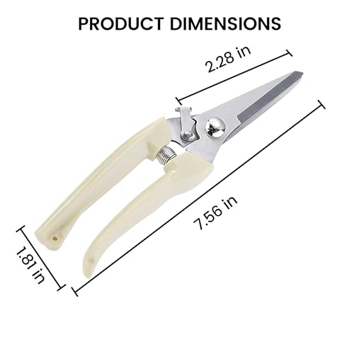 Straight Blade Stainless Steel Pruning Shears for Garden - Rust Resistant Branch Cutter with Non-Slip PP Handle - color: Beige, size: Straight mouth