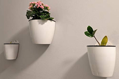 3 Packs 7.3" Plastic Self Watering Pots Wall Hanging Planters Wall Mounted Wicking Flower Pots for Indoor and Outdoor African Violet, Ocean Spider Plant, Orchid, White - size: 7.3"