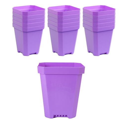 Bootstrap Farmer 16 pc Purple Heavy Duty Square 5 in Nursery Pots for Seed Starting Flowers Germination with Drainage Holes - color: Purple, size: Pots Only