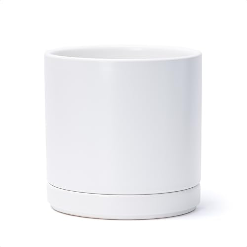 D'vine Dev 8.2 Inch Ceramic Planter Pot, White, 94-O-D-1 - color: White, size: Medium
