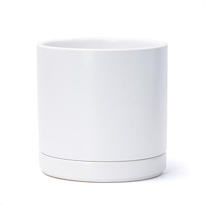 D'vine Dev 8.2 Inch Ceramic Planter Pot, White, 94-O-D-1 - color: White, size: Medium