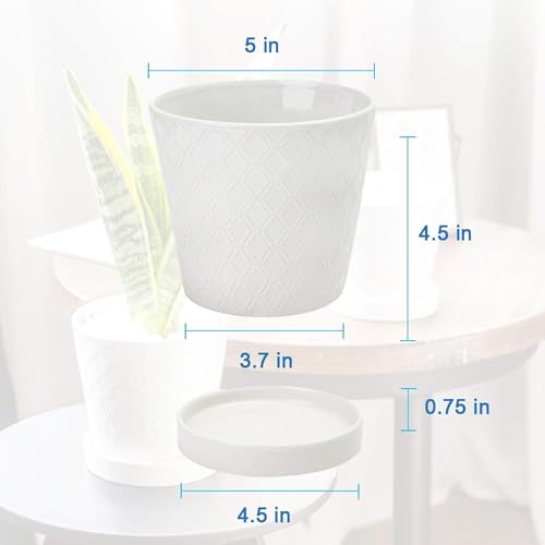 BUYMAX 5in Ceramic Flower Pots Set of 4 Plant Pot with Drainage Hole - color: White