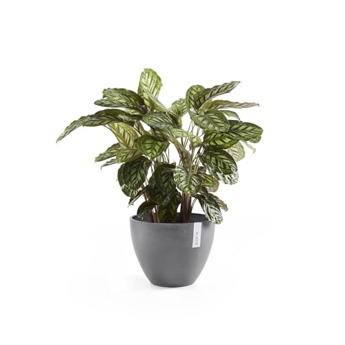 Ecopots Antwerp Round Tapered Flower Planter, Grey, 12" - color: Gray, size: 12"