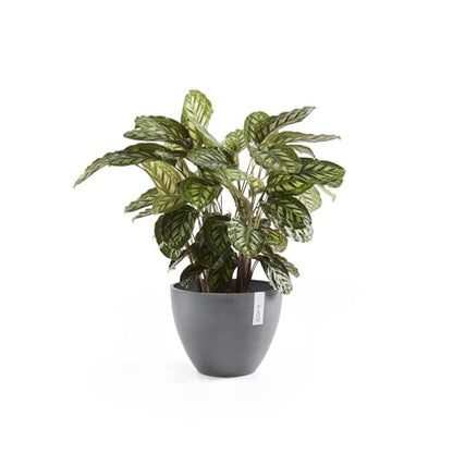 Ecopots Antwerp Round Tapered Flower Planter, Grey, 12" - color: Gray, size: 12"