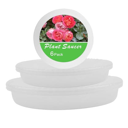 6 Pack Plant Saucers of 6 inch & 8 inch & 10 inch, Plant Trays, Clear Flower Plant Pot Tray - color: Clear, size: 6"+8"+10"(each2Pack)