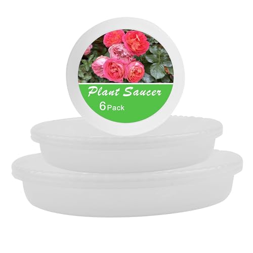 6 Pack Plant Saucers of 6 inch & 8 inch & 10 inch, Plant Trays, Clear Flower Plant Pot Tray - color: Clear, size: 6"+8"+10"(each2Pack)