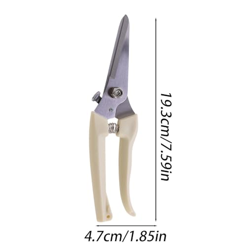 Pruning Shears, Garden Scissors for Plant, Tip Pruning Shears for Cutting Flowers, Trimming Plants, Bonsai and Fruits Picking (Straight, 19.3x4.7x1.5cm) - color: Straight
