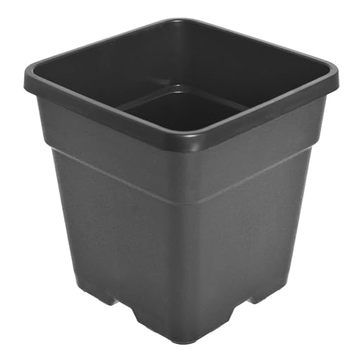 2 Gallon Square Plastic Garden Planter Pot Plant Nursery Pot 10-Pack