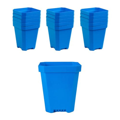 Bootstrap Farmer 16 pc Blue Heavy Duty Square 5 in Nursery Pots for Seed Starting Flowers Germination with Drainage Holes - color: Blue, size: Pots Only