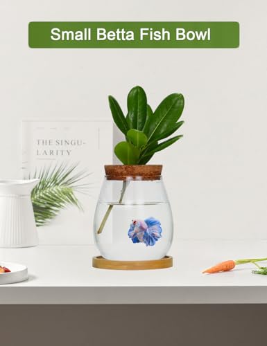Desktop Plants Terrarium Propagation Station Hydroponic Planters Retro Oval Glass Vase with Lid and Stand Home Office Decoration Gifts 2 Pack