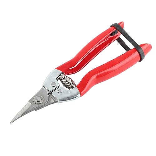 Professional Garden Pruning Shears for Roses and Flowers, Curved Blade Stainless Steel Hand Pruners, Heavy Duty Plant Trimming Scissors for Fruit Harvesting and Flower Arranging