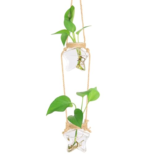 XXXFLOWER 2 Tiers Star Shaped Glass Vase Wall Hanging Propagation Station - size: 2 Star Vases