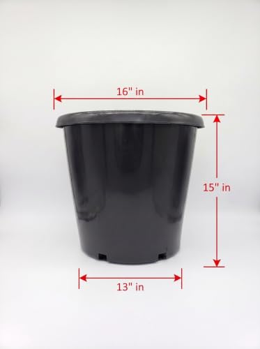 Green Oasis 10 Gallon Nursery Pots (10-Pack) - Premium Injection Molded Black Plastic Plant Pots, Heavy Duty Commercial Grade with Drainage Holes - Perfect for Trees, Vegetables & Shrubs