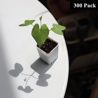 300 Pack 1.55 Inch Tiny White Plastic Square Nursery and Seedling Pot, Mini Transplant Seed Starter Planter with Drain Hole for Germination, Herb, Succulent - color: White