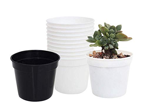 Round Succulents Plant Pots Drainage Hole, Set of 40 Mini Plant Pots 2.5" Wx2.25 H,Perfect for Plant Seeds,Seedling Nursery Transplanting Planter Container(White-40)