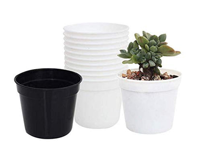 Round Succulents Plant Pots Drainage Hole, Set of 40 Mini Plant Pots 2.5" Wx2.25 H,Perfect for Plant Seeds,Seedling Nursery Transplanting Planter Container(White-40)