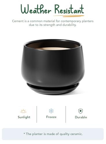 LE TAUCI Ceramic Planter, 10 Inch, Large Plant Pot, Indoor Plant Pot, Black - color: Black, size: 10"