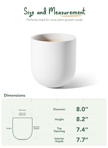 LE TAUCI 8 Inch Ceramic Plant Pot, Indoor Planter, White - color: White, size: 8“