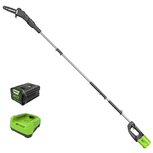 Greenworks 80V 10" Cordless Polesaw (Great For Pruning and Trimming Branches / 75+ Compatible Tools), 2.0Ah Battery and Charger Included - size: 80V 10" Brushless Gen 1 (2.0Ah)