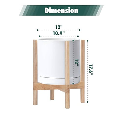 D'vine Dev Ceramic Pot with Natural Wood Stand, White, 12 in, 55-B-J-1 - color: White Pot + Natural Stand, size: 12 Inch