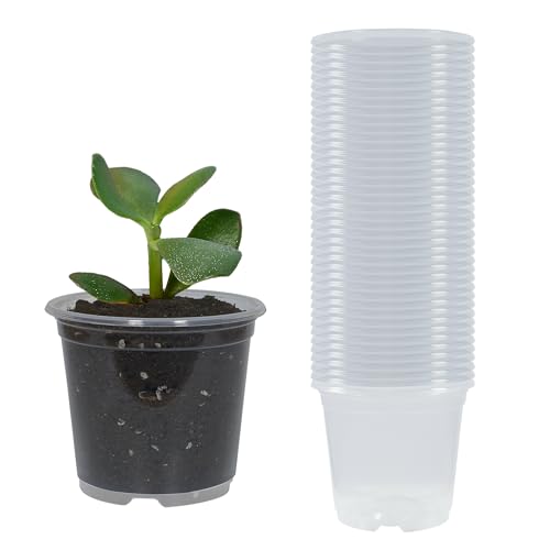 40 Pack 3 Inch Clear Nursery Pots with Drainage Plant Pots for Plants Transparent Potting Containers for Plants Seeding Starter Pot (Clear, 3 Inch 40 Pcs) - color: Clear, size: 3 Inch 40 Pcs