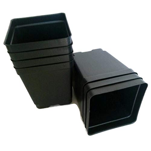 Square Quart Nursery Pots - Set of 15, 4.25" Square x 4.9" Deep, Black, Indoor/Outdoor, Modern Style