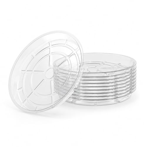 Gardzen Heavy Duty Clear Plastic Plant Saucers, Flower Pot Tray - Excellent for Indoor & Outdoor Plants (13-Inch, 10-Pack) - size: 13 Inch