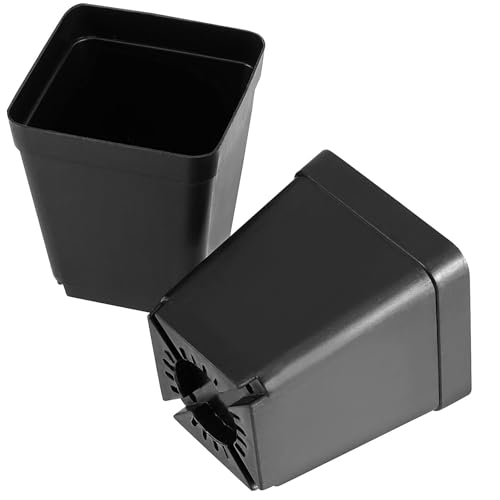 HOIGON 100 Pack 3 Inch Black Square Nursery Pot, Durable Thickened Plastic Nursery Pots with Drain Holes, Small Square Planting Containers for Flower Tomatoes Basil