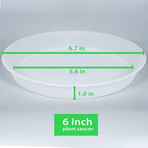 6 Pack Plant Saucer Tray, 4 5 6 8 10 12 13 15 17 19 inch Plant Saucers, Heavy Duty Plastic Plant Drip Trays for Indoors, Flower Plant Water Tray, Plant Trays for Pots Base (6 inch, Clear) - color: Clear, size: 6"
