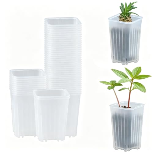 50 Pack 2'' Square Clear Nursery Pots, Mini Transparent Planter - size: 2 Inch