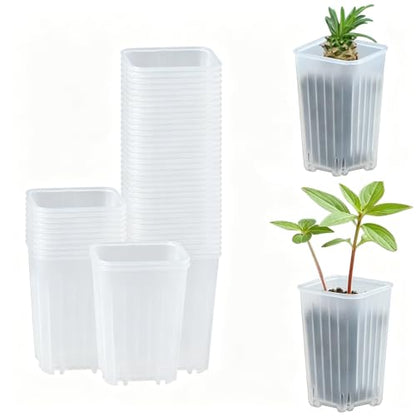 50 Pack 2'' Square Clear Nursery Pots, Mini Transparent Planter - size: 2 Inch