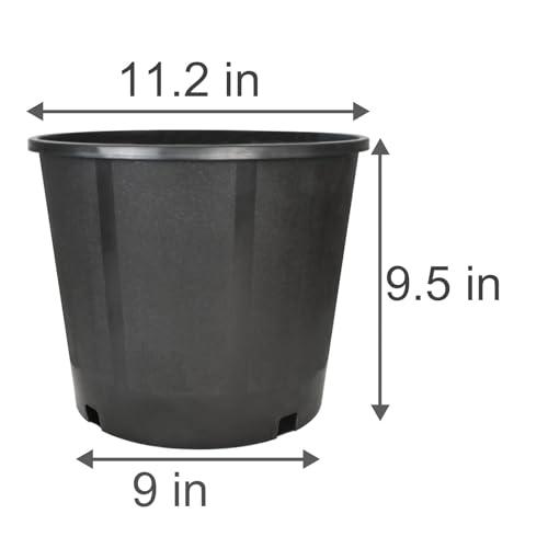 3 Gallon Nursery Pot 10-Pack 3 Gallon Plastic Garden Planter Pots Flower Seedling Injection Molded Container Seed Starting Pot Set for Indoor Outdoor Plants Seedlings Vegetables Black - size: Standard 3 Gallon