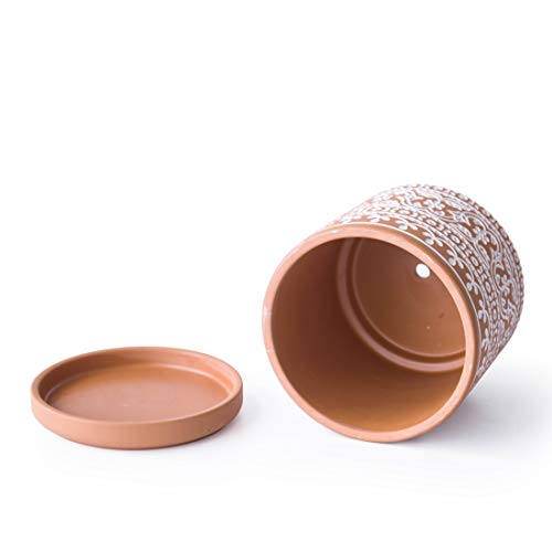 D'vine Dev 2-Pack Terracotta Pots, 4/6 in, Terra/White, 31-958-F-1 - color: Terracotta/White