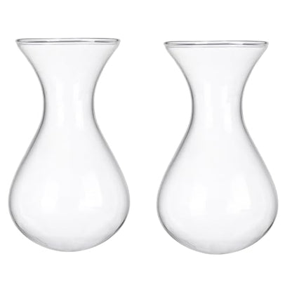 Plant Propagation Station Accessories, 2 Pack Glass Hyacinth vase