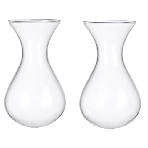 Plant Propagation Station Accessories, 2 Pack Glass Hyacinth vase