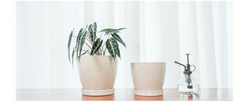 Docrin Ceramic Plant Pots Indoor, 6.6 + 5.5 Inch Planters with Drainage Holes and Saucer for Home/Office - Set of 2 /White - color: Creamy-white